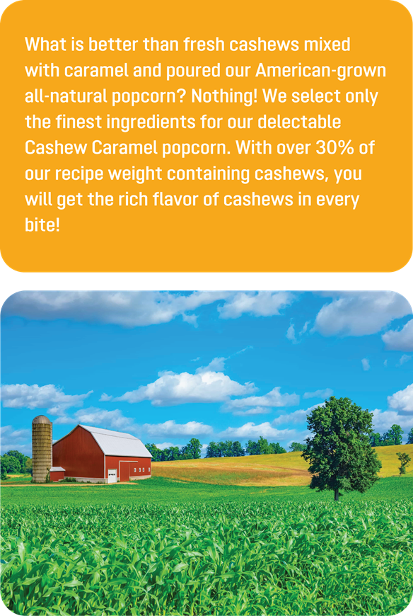 Cashew Caramel Popcorn (10 liters)